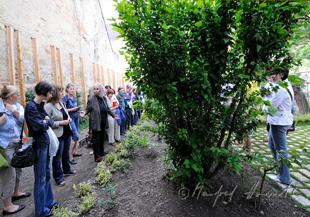 open house in the herbal garden