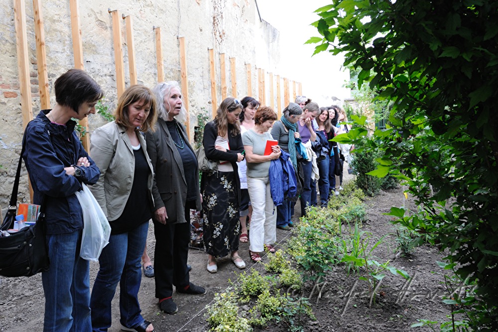open house in the herbal garden
