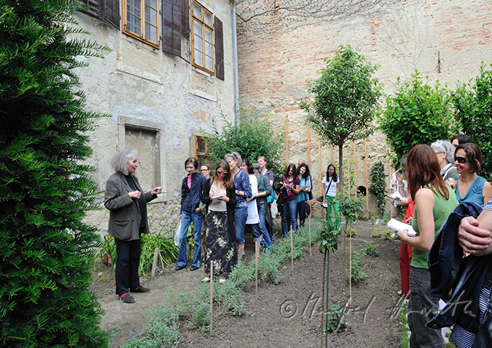 open house in the herbal garden