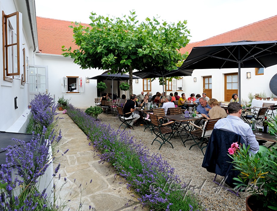courtyard dining with Max Stiegl at Gut Purbach
