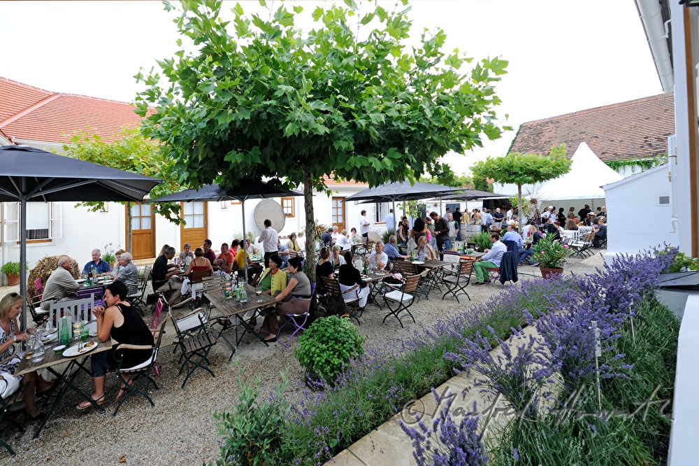 courtyard dining with Max Stiegl at Gut Purbach