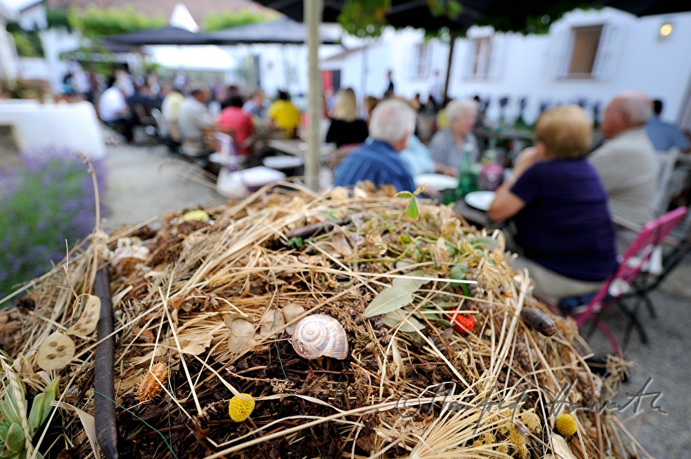 courtyard dining with Max Stiegl at Gut Purbach