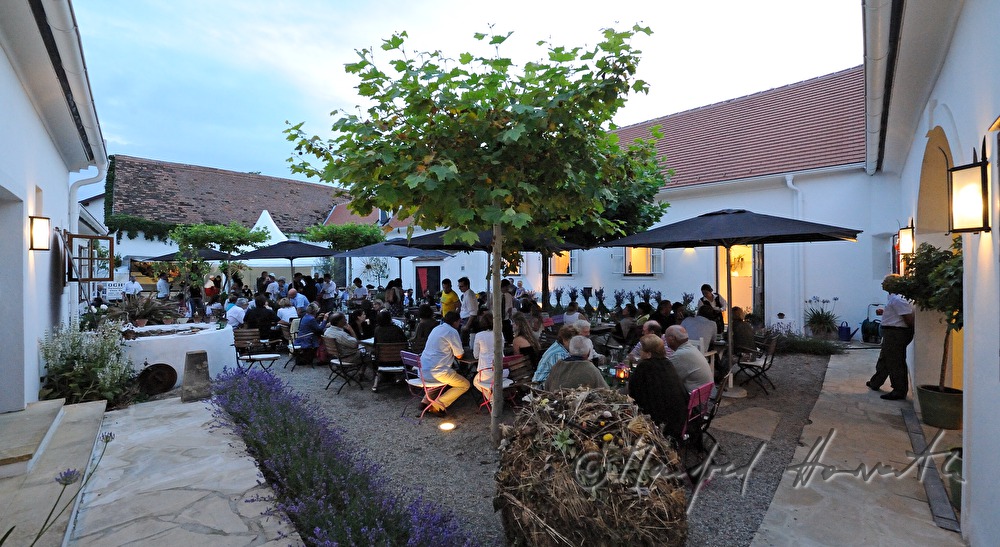 courtyard dining with Max Stiegl at Gut Purbach