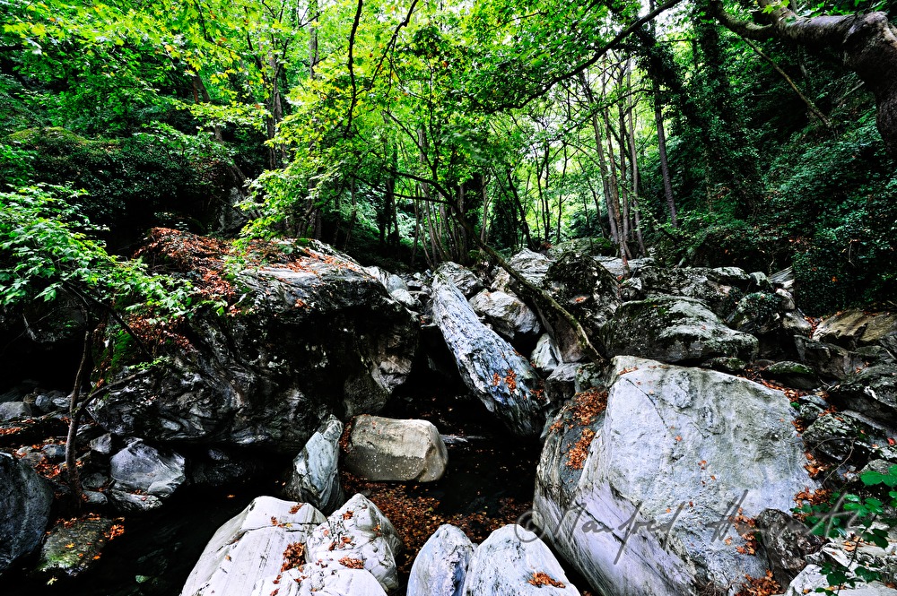 creek bed wit huge rocks