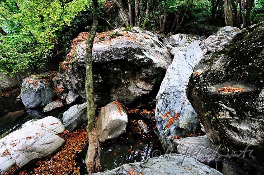 creek bed wit huge rocks