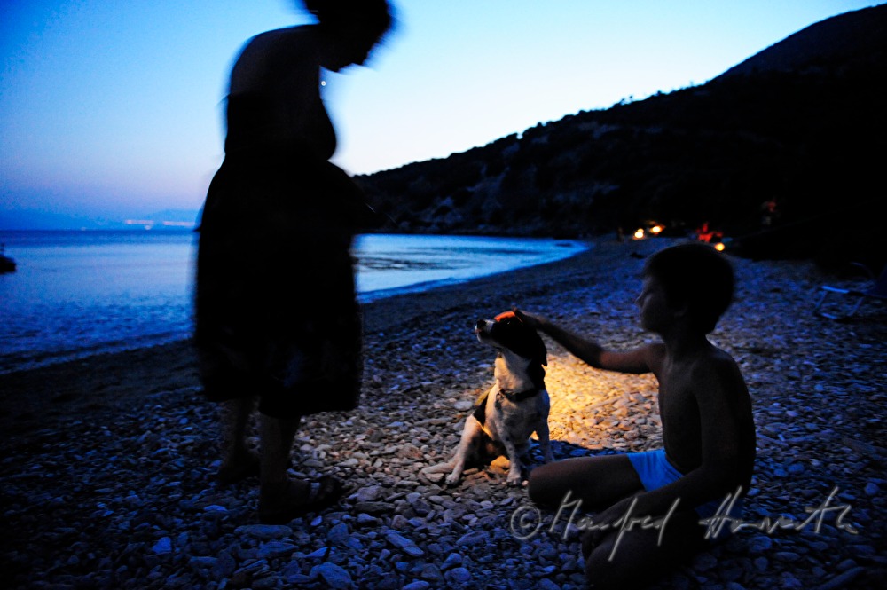 child and boy play with a dog on the beach