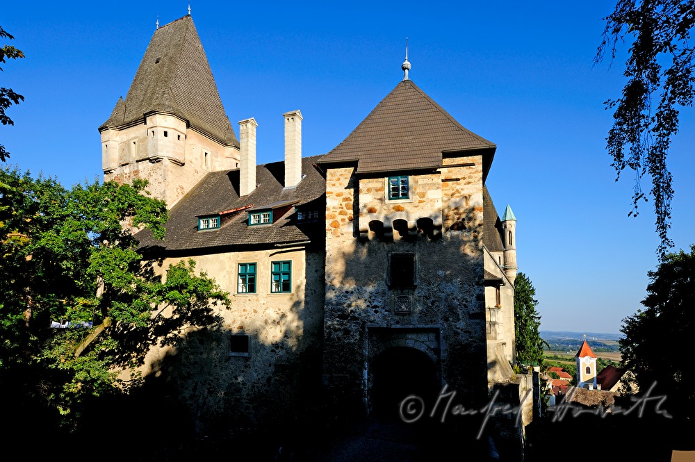 castle Maissau and vineyards