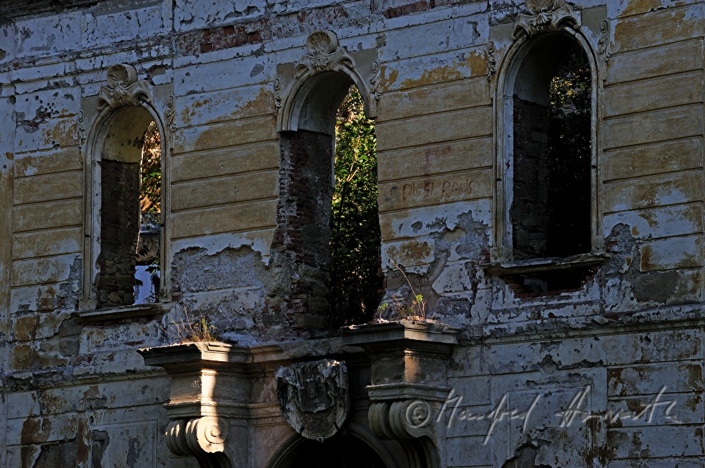 ruinous Castle Pottendorf