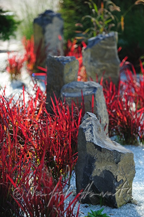 Zen garden of the Hotel An-Alapanka-Ma