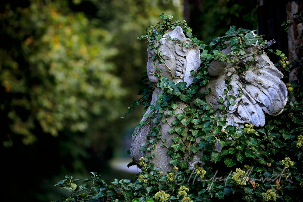overgrown Sphinx in the garden of the historic paper mill