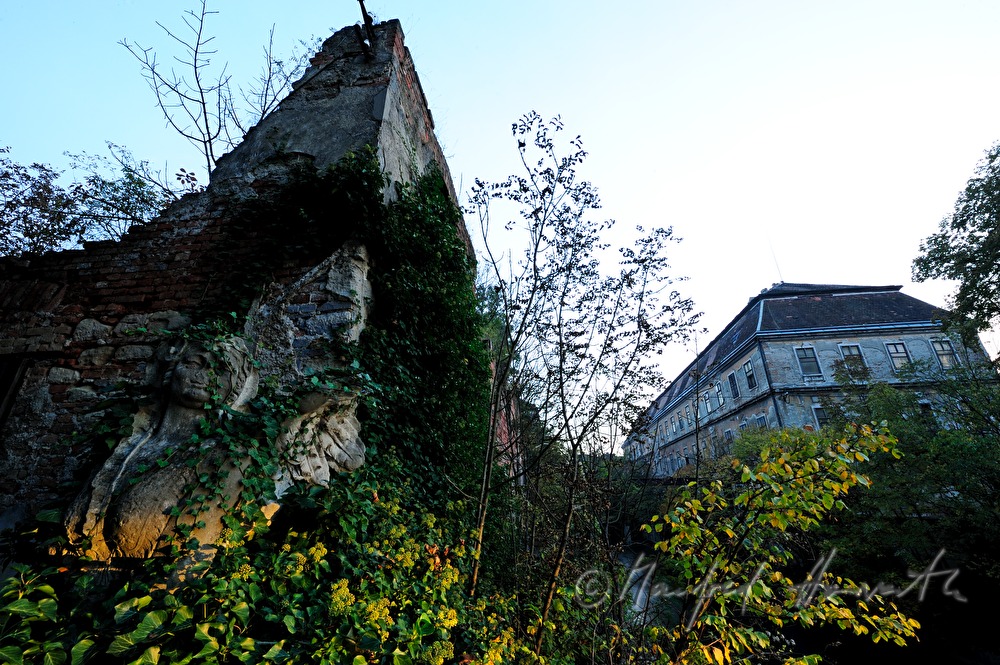 overgrown Sphinx in the garden of the historic paper mill