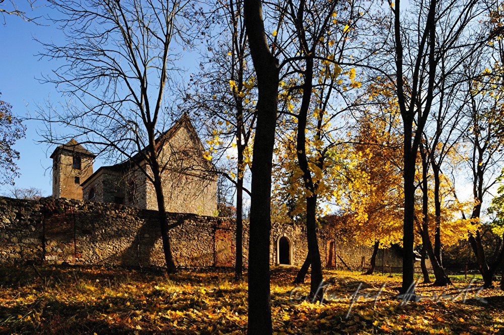 ruined convent 