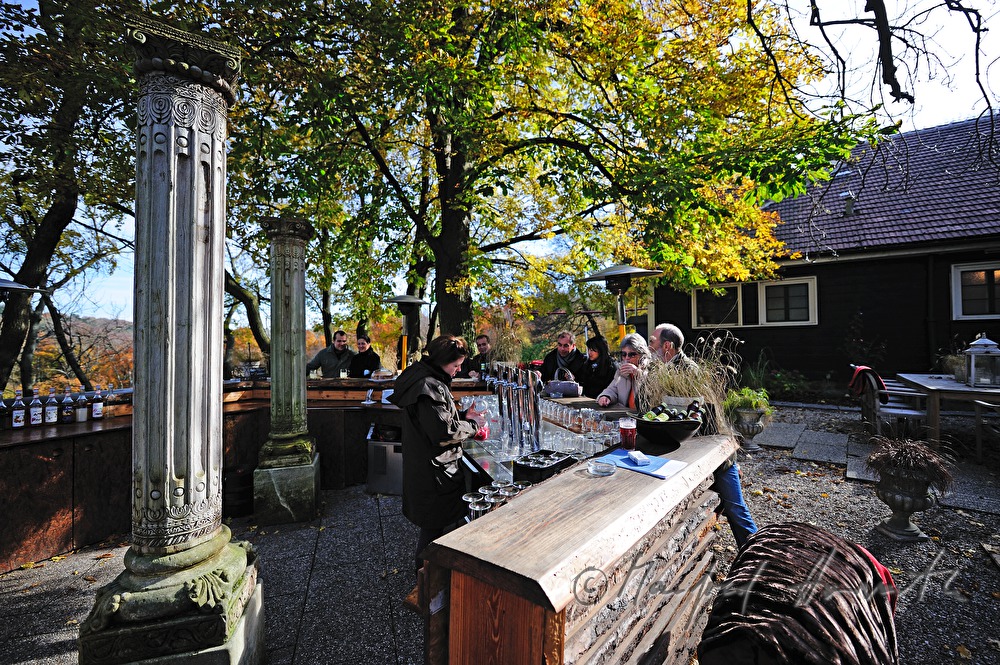 bar in the garden