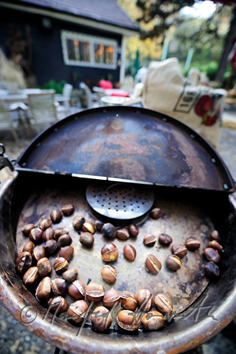 baking of sweet chestnuts in an oven