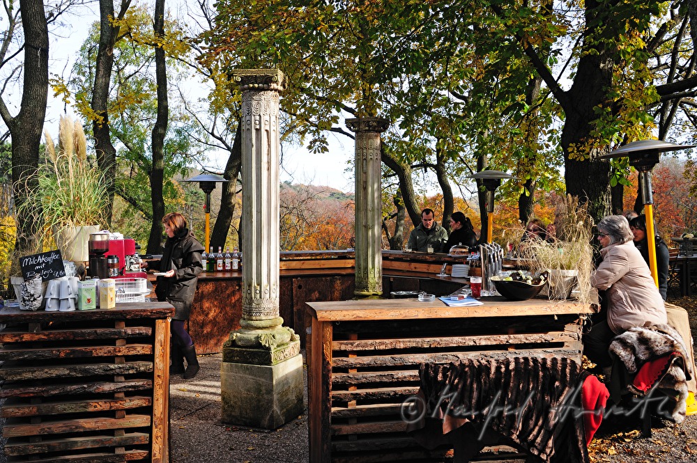 bar in the garden