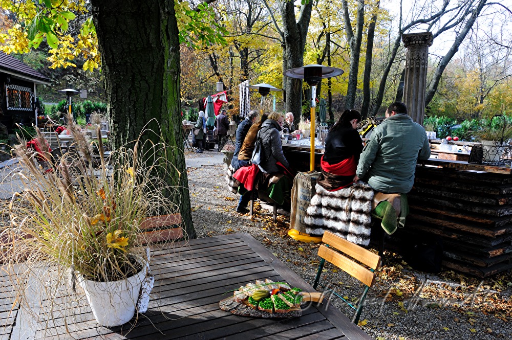bar in the garden