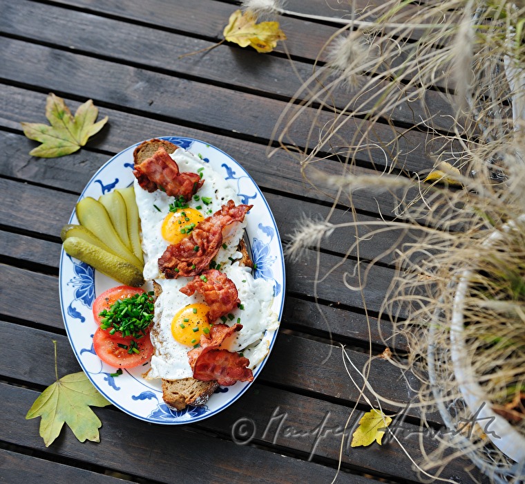 fried egg on dark bread with fried bacon