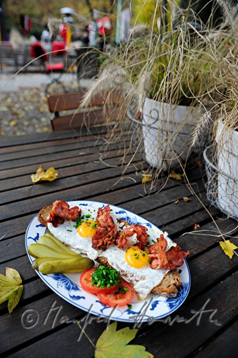 fried egg on dark bread with fried bacon