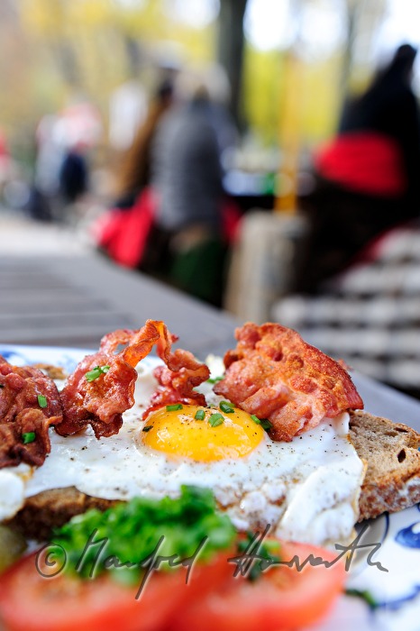 fried egg on dark bread with fried bacon