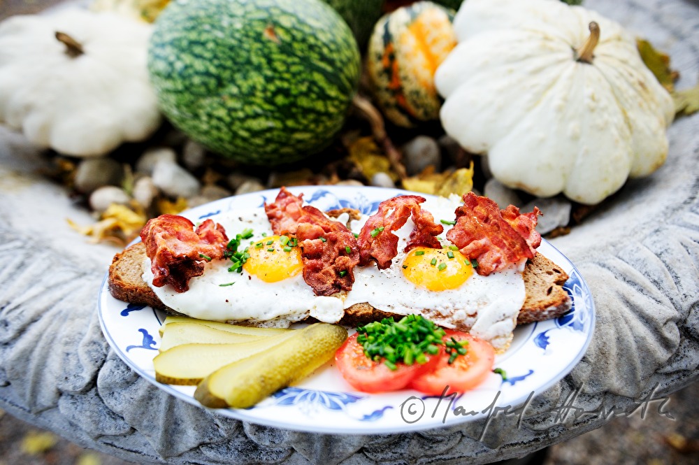 fried egg on dark bread with fried bacon