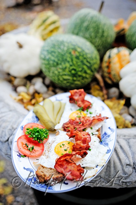 fried egg on dark bread with fried bacon