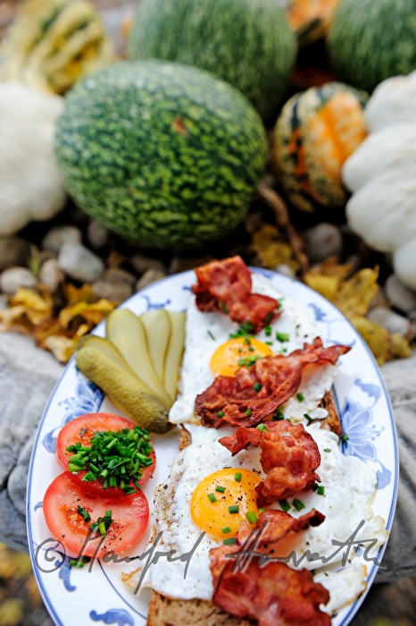 fried egg on dark bread with fried bacon