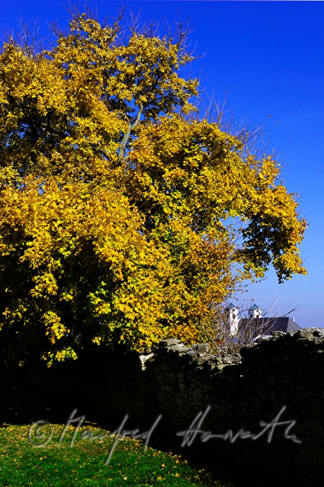 Basilica Maria Loretto and wall of the monastery