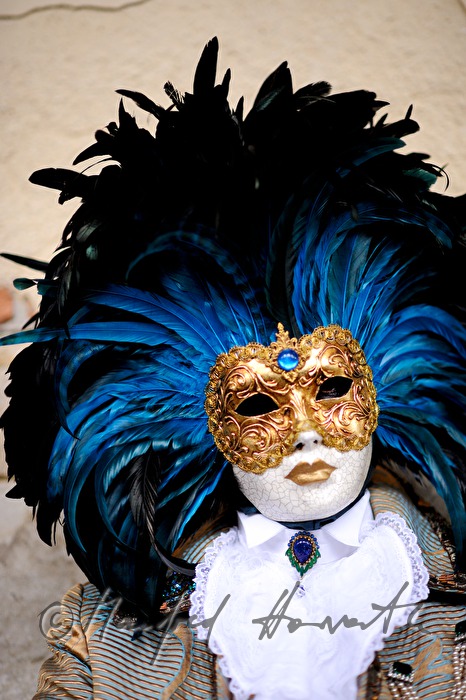 disguised man at the carnival near the Doge's Palace
