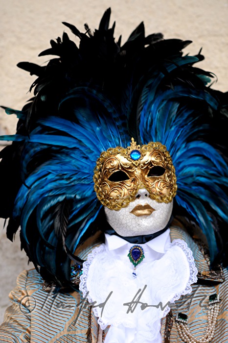 disguised man at the carnival near the Doge's Palace