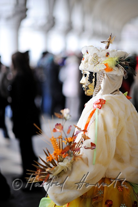 disguised woman at the carnival