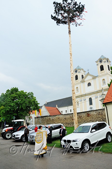 priest blessing cars near the Basilica