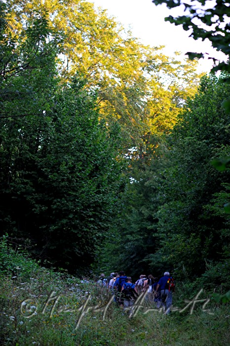 pilgrims on the way to Loretto