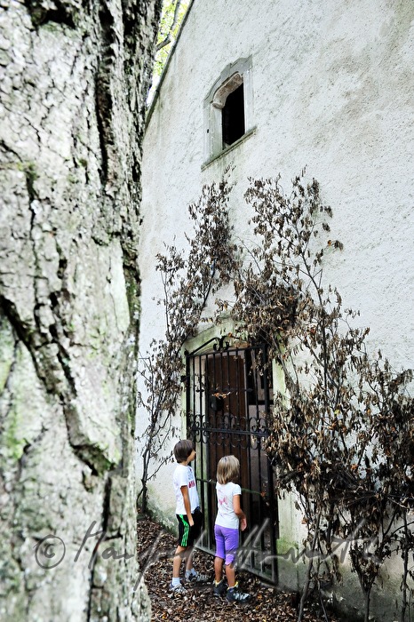 Trinity Chapel in the forest near Loretto