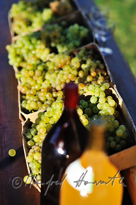 sidewalk sale offers grapes and must