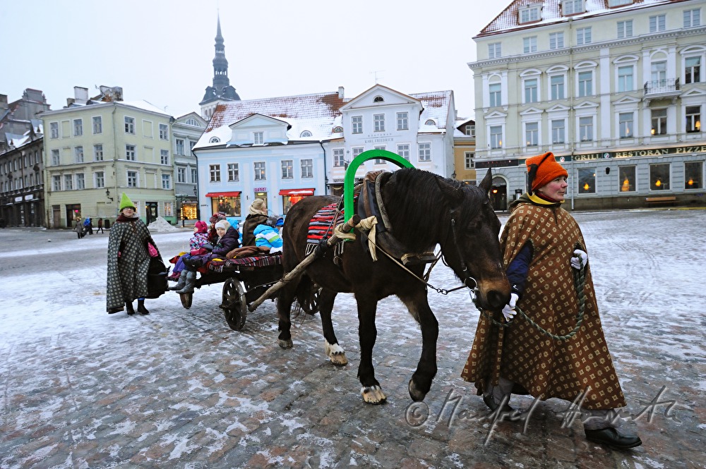 horse cab with children on the main square