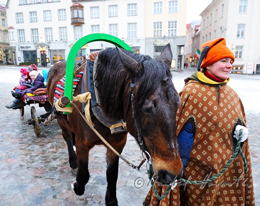 horse cab with children on the main square