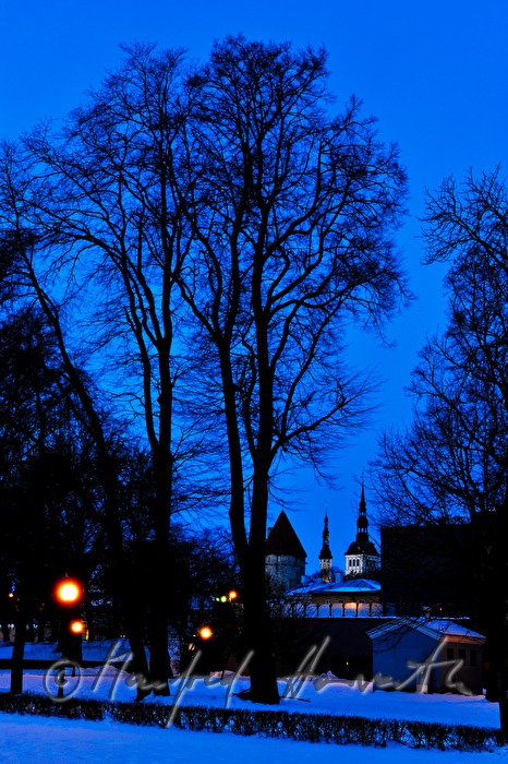 view from Russian Culture Center to the Old Town
