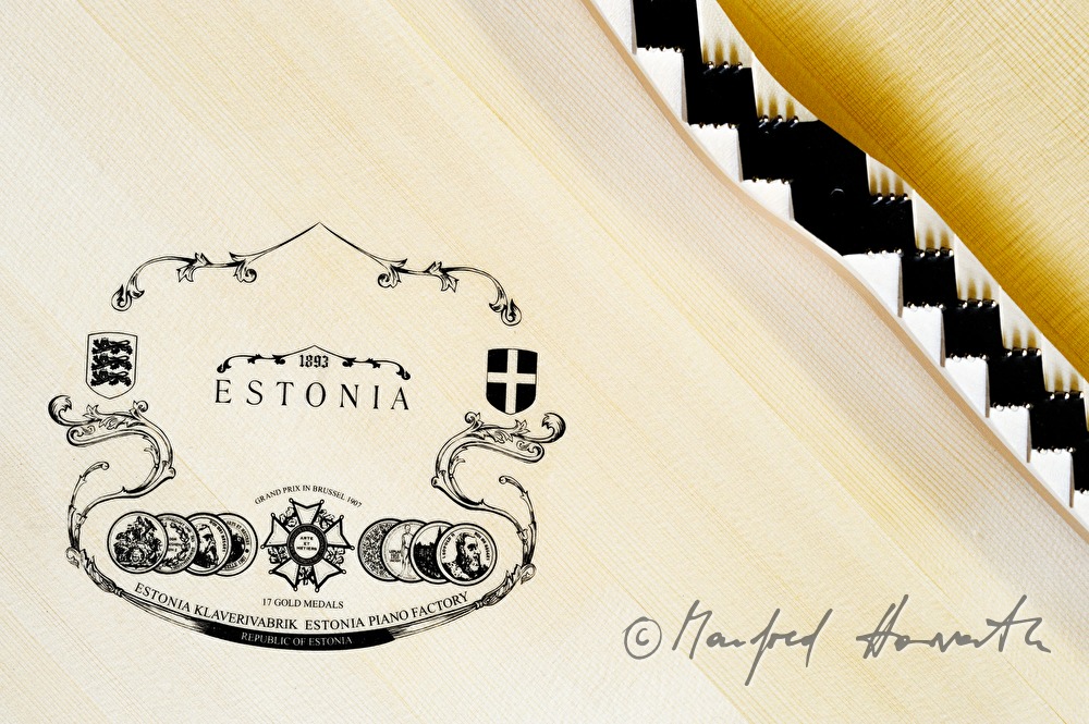 the logo of the company in the lid of the piano