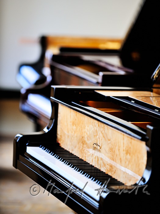 console of a piano made of Karelian Birch