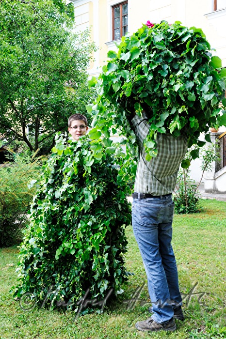 chosen boy in costume of lime tree before the festivity