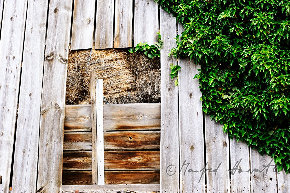 bales of straw in a wooden barn
