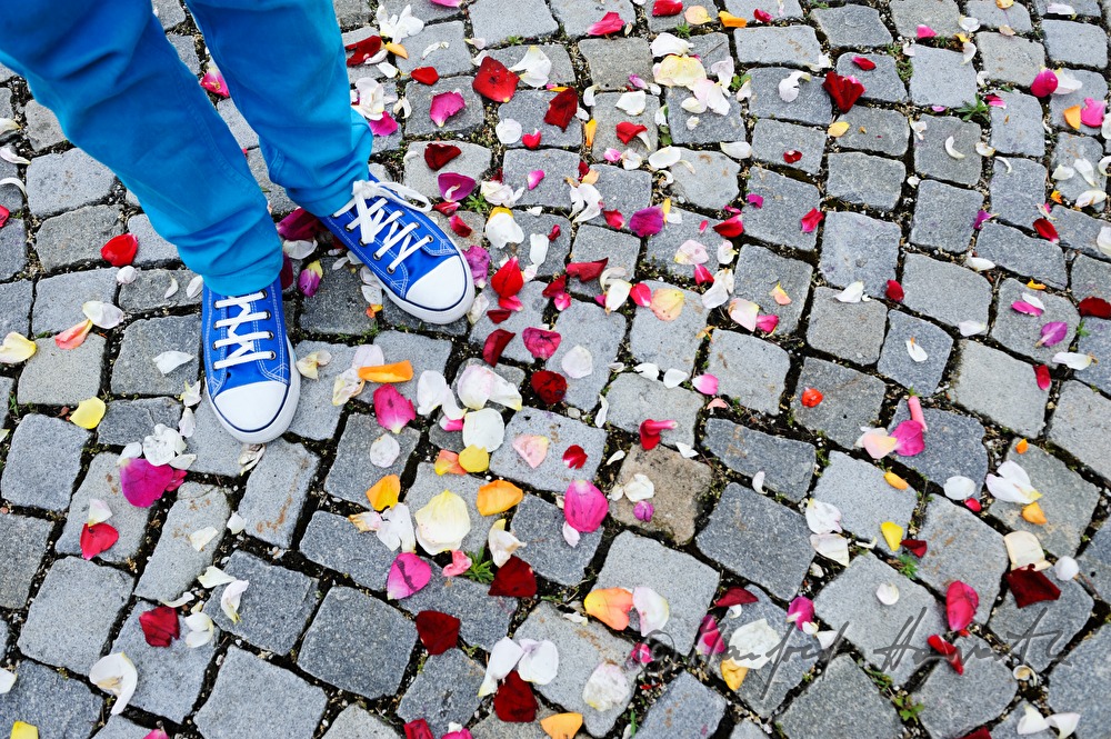 spread out blooms at the Feast of Corpus Christi