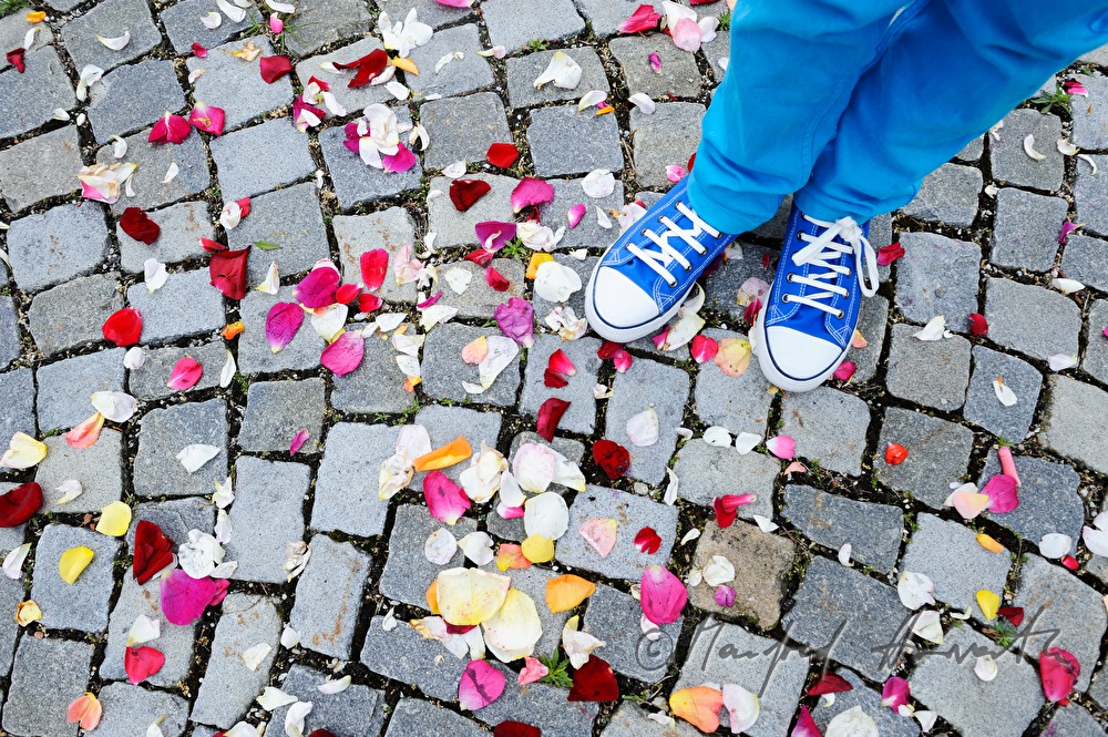 spread out blooms at the Feast of Corpus Christi