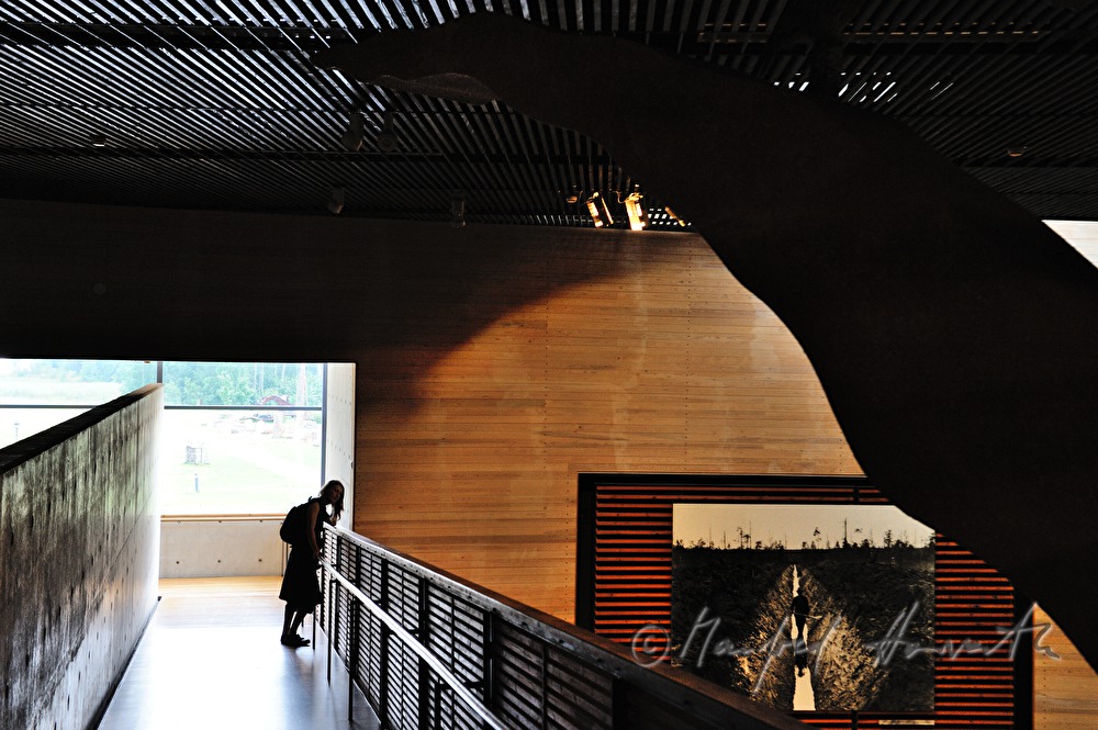 visitor at the Finnish Forest Museum (Lusto)