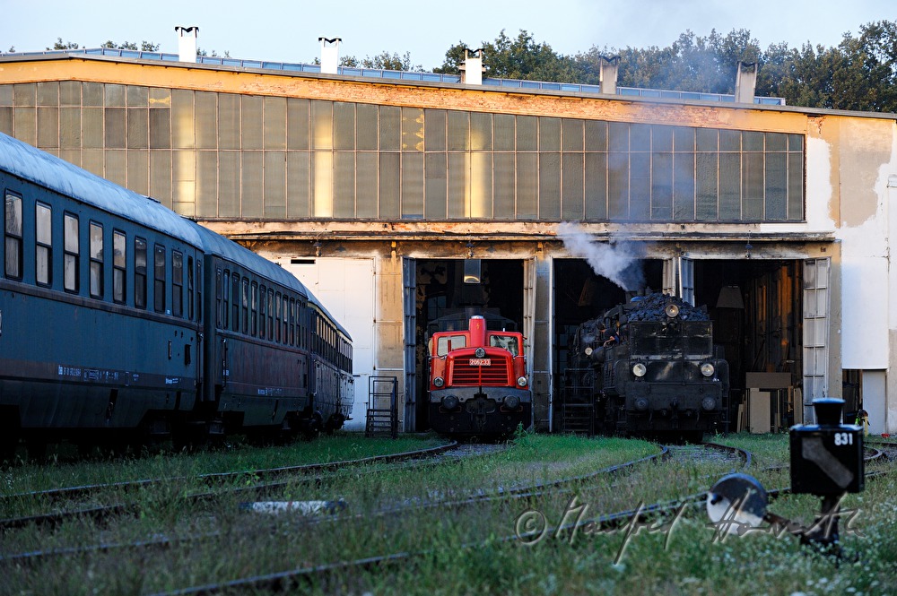 locomotives in the coach house