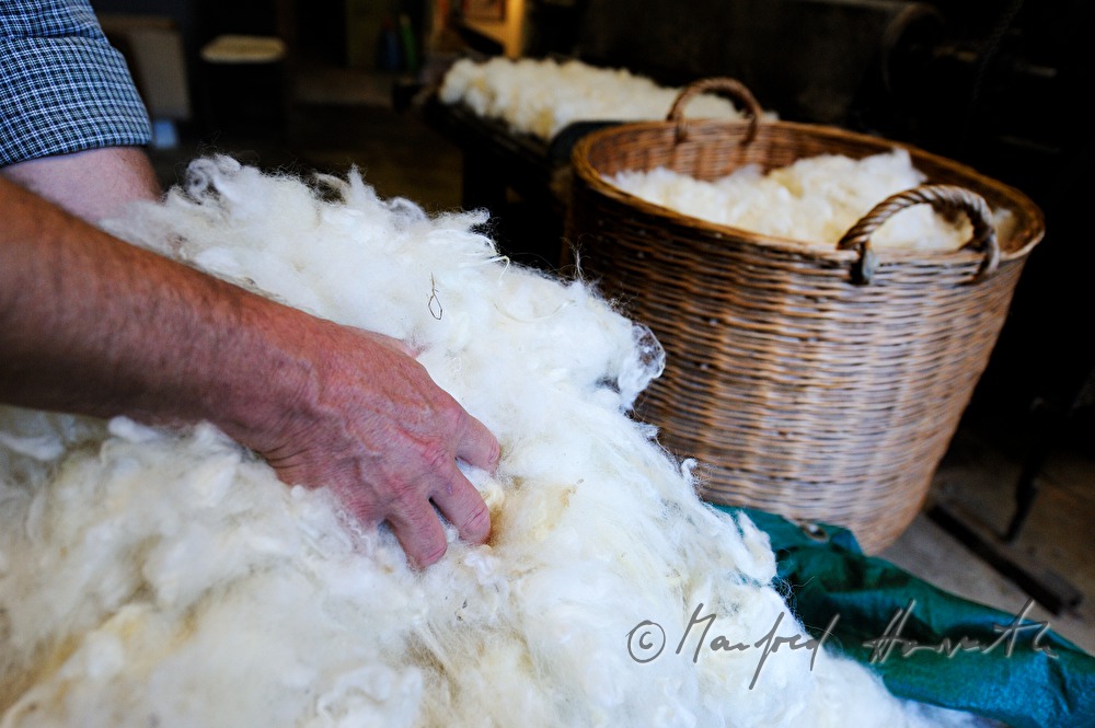 sheep's wool in wickerbaskets before carding