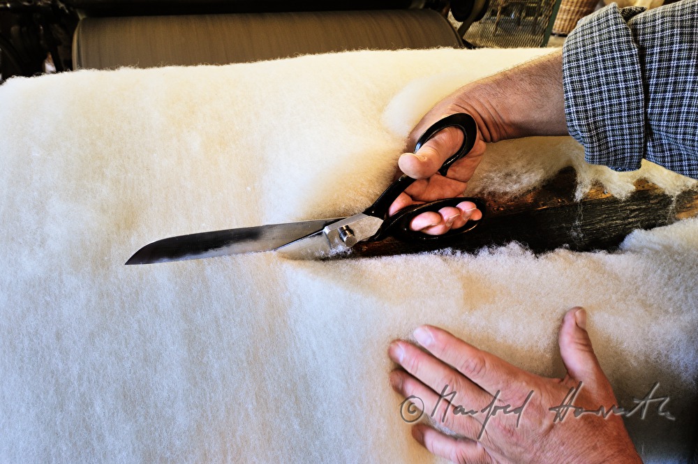 cutting of fleece of sheep's wool after carding