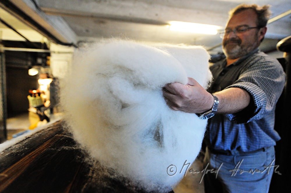 rolling up fleece made of sheep's wool after carding