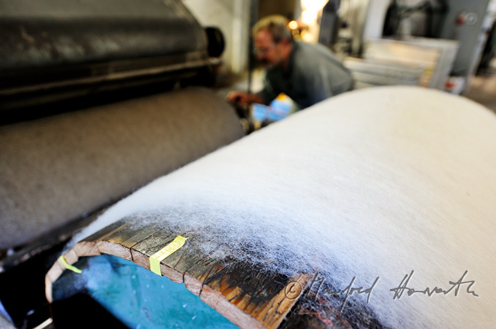 rolling up fleece made of sheep's wool when carding