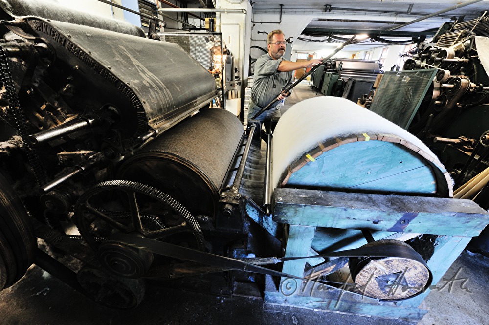 rolling up fleece made of sheep's wool when carding